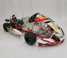 Load image into Gallery viewer, Ventesimo Kart Jr1 Briggs
