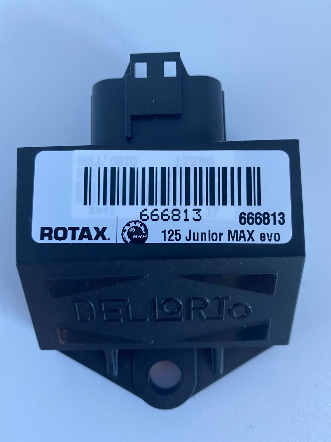 Rotax ECU