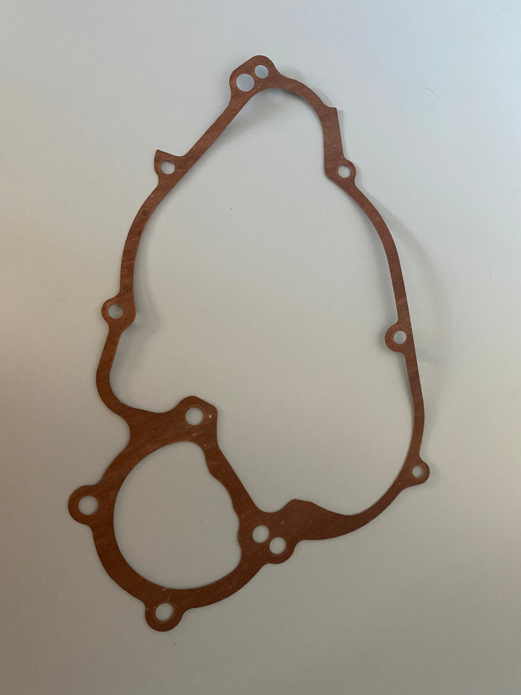 Rotax DD2 Side Cover Gasket
