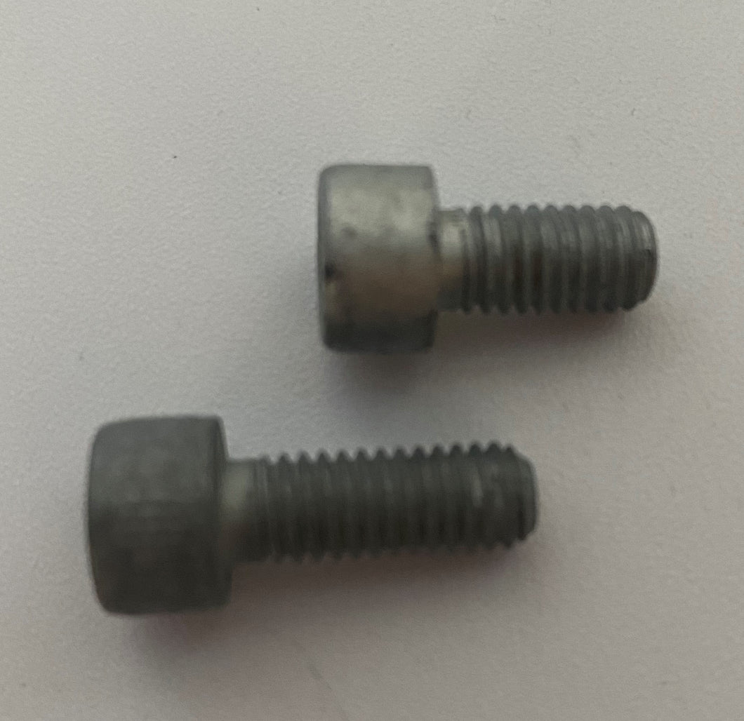 Rotax Clutch Screws